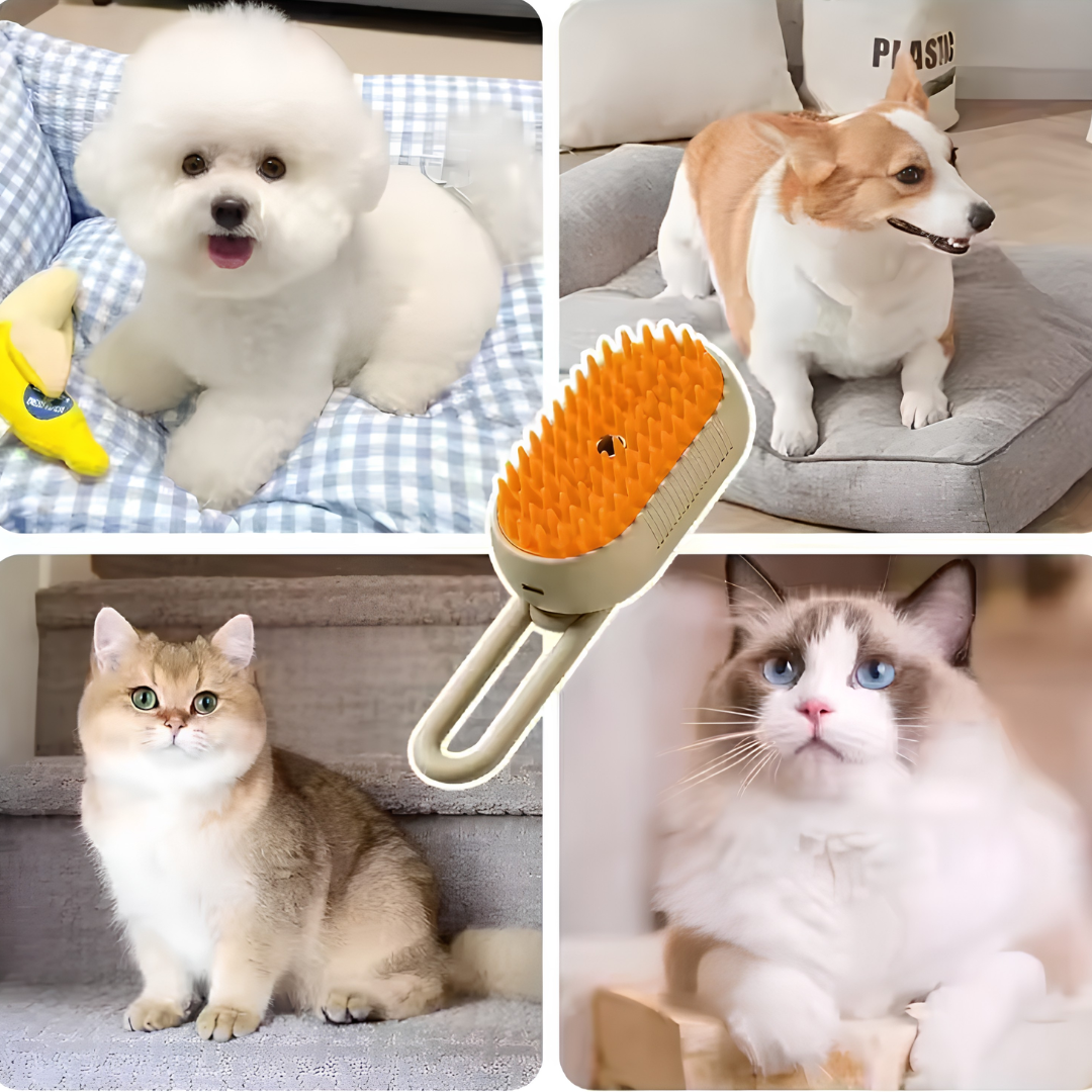 SetaPelo 🐾