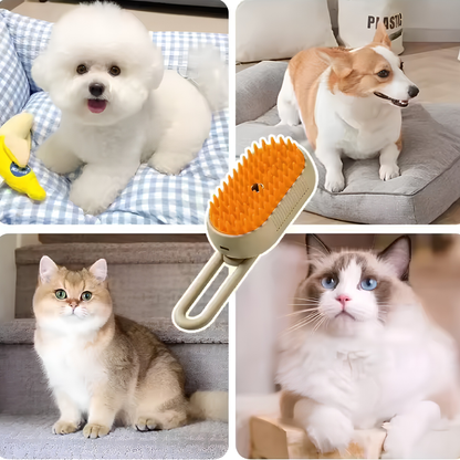 SetaPelo 🐾