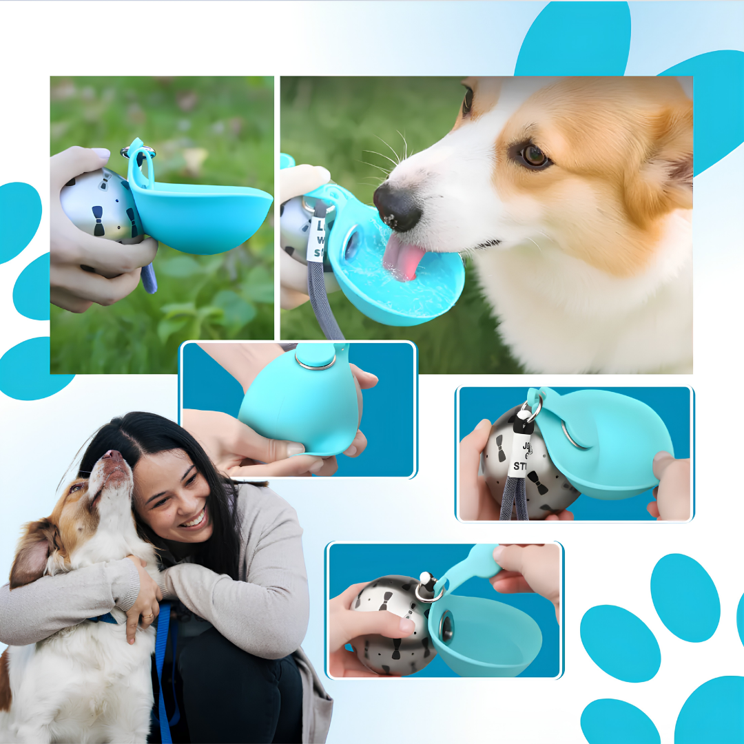 GoccioSfera 🐾