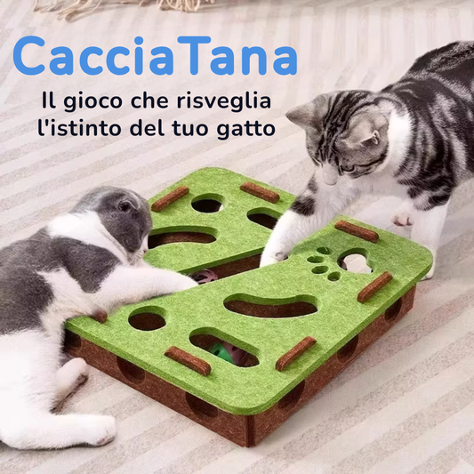 CacciaTana 🐾