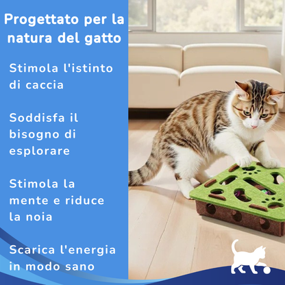 CacciaTana 🐾