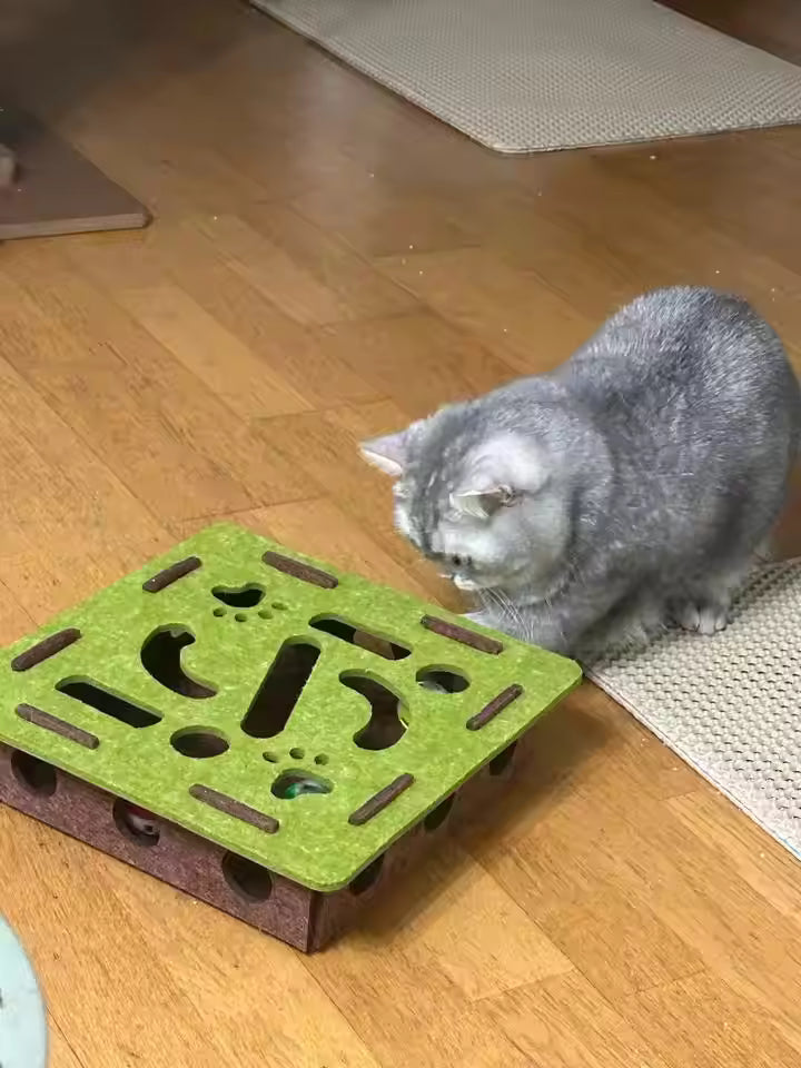 files/Cat_Toy_Review_5.avif