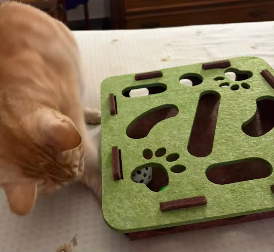 files/Cat_Toy_Review_9.avif