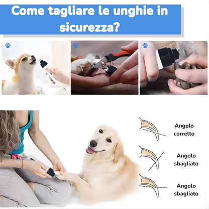 LimaZampa 🐾