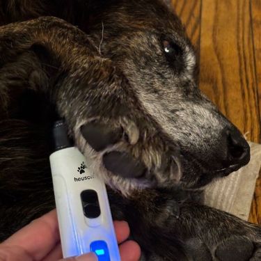 files/Nail_Trimmer_Reviews_1.jpg
