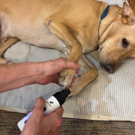 files/Nail_Trimmer_Reviews_5.jpg