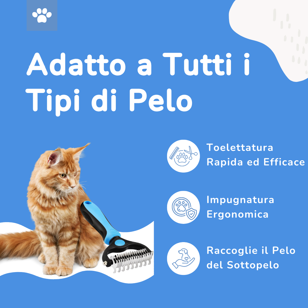 SpazzaFondo 🐾