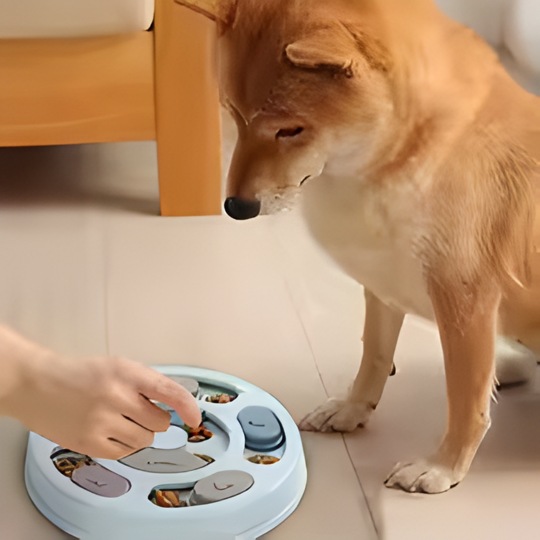 CercoSnack 🐾